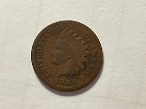1883 Indian Head Cent Bronze - Bild 1 von 3