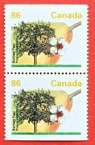 Canada Stamp #1372a "Fruit Tree Definitive - Bartlett Pear MNH 1992 - Picture 1 of 1