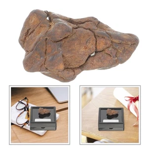 Meteorite Science Sample Model Lithosiderite Specimen Child Rocks Specimens - Foto 1 di 12