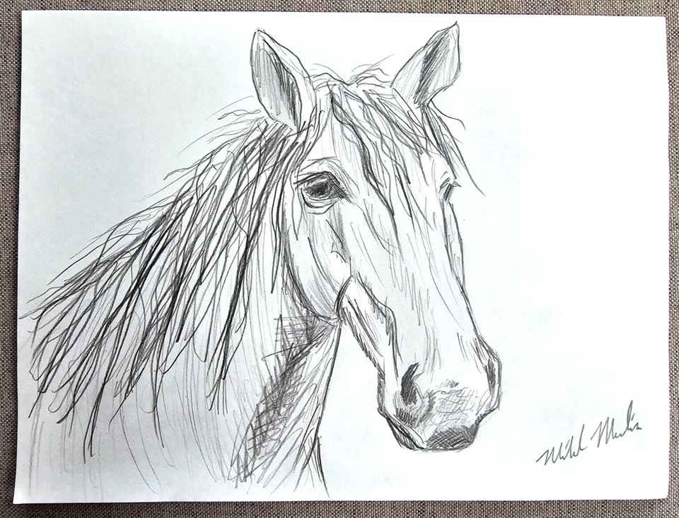 Dibujo original firmado por artista de un caballo Foto 1 de 1