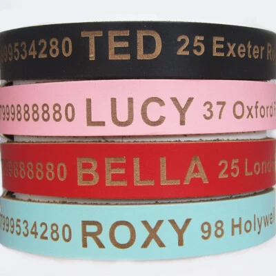 EDSG Personalised Leather Dog Collar Cat 4 Colours and 4 Sizes Blue Black Pink Red