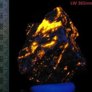 Fluorescent Wernerite Scapolite bright glowing specimen Grenville Canada 0.23kg - Bild 1 von 8