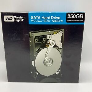 Western Digital WD2500KSRTL Caviar SE16 250 GB SATA 3.5-Inch Hard Drive Kit