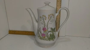 Shafford Herbs & Spices Coffee/Tea Pot W Lid 8.5 Inches Vtg Floral - Picture 1 of 13