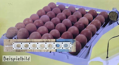 1x Bruthorden Einsätze für Brutmaschine für Eigenbau 34,5cm Gänseeier - Bild 1 von 3