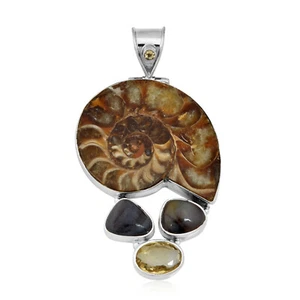 Sterling Silver Ammonite, Agate and Citrine  Jewelry Pendant - Picture 1 of 4