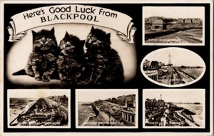 Vtg RPPC Postcard Blackpool Montage Kittens Promenade 1959 England Valentines - Picture 1 of 2