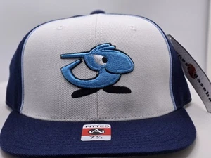 Sombrero de Dragón Chunichi De Colección Talla 7 1/4 Nipón Liga Japonesa Aguja Americana - Imagen 1 de 6