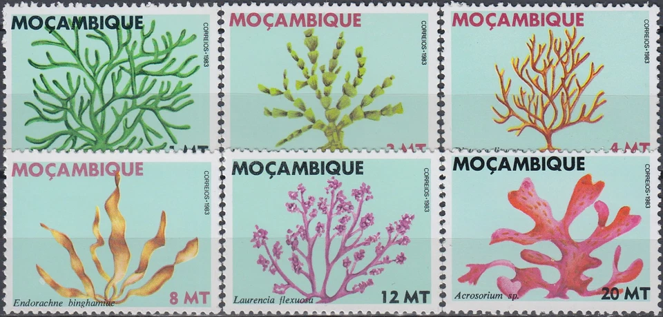 Algas de Mozambique 1983 MNH-5,50 euros Foto 1 de 1