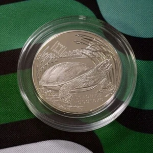 Belarus 2010, BOG TURTLE. The Middle Reaches of the Prypyat River,  1 rub, Co-Ni - Picture 1 of 2