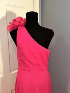 Sachin & Babi, Allegra Gown, Think Pink, Size 6, NWT - Picture 1 of 9