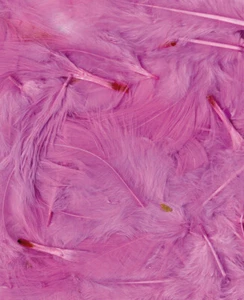 Plumas Rosa Claro - 12 CM - Picture 1 of 1
