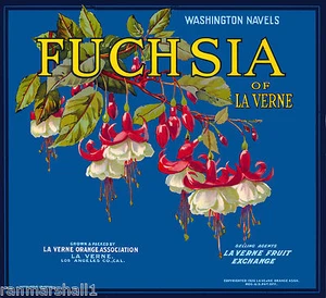 La Verne Lordsburg Fuchsia Flowers Orange Citrus Fruit Crate Label Art Print - Picture 1 of 1