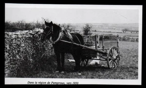1983  --  DANS LA REGION DE PAMPROUX  VERS 1950   3P199 - Picture 1 of 1