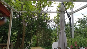 Freizeitgrundstück mit Weitblick - Bild 1 von 5