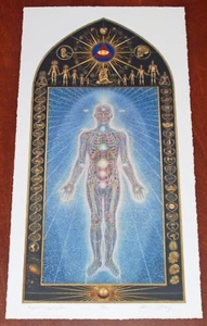 Alex Grey Psychic Energy System Art Print Poster S/# 98/100 Sacred Mirrors Tool - Picture 1 of 9