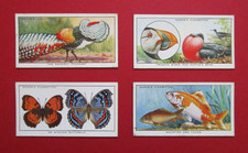 OGDENS  FOUR 1932 VINTAGE CIGARETTE CARDS   COLOUR IN NATURE  No's  33-34-38-40