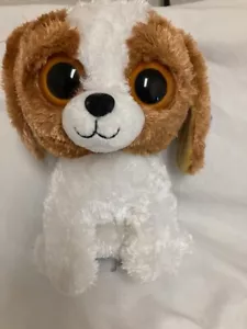 Ty Beanie Boos ❤️ COOKIE THE DOG 1ST GEN 9" MEDIUM SOLID EYES NEW MWMT's - Picture 1 of 2