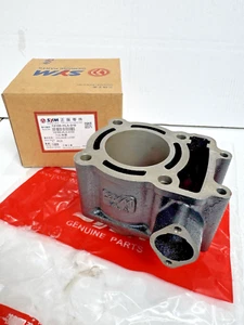 Genuine SYM HD200 Trackrunner 180 200 Joyride Cylinder Barrel 12100-HLA-010 - Picture 1 of 8
