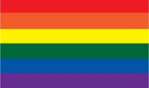 Rainbow Flag 3x5 #ns327ra FREE SHIPPING  - Picture 1 of 1