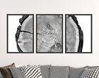 Tree Rings - Set of Three Photographs - Art Prints for Home Posters B&W