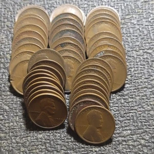Full Roll (50) 1909 P United States Lincoln Wheat Cents - Picture 1 of 2