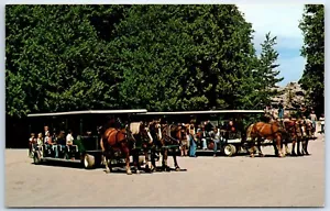 Mackinac Island Famous 3 Horse Hitch at Arch Rock Michigan PC Unposted A120 - Picture 1 of 2