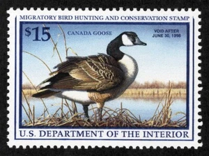 US Sc RW64 Multicolor $15.00 1997 MNH Original Gum Duck Hunting Permit Stamp XF - Picture 1 of 1