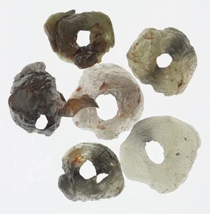 1.71 Ctw 6 pcs Rough Raw Diamond Gemstone – Drilled Curve, Natural - Picture 1 of 2