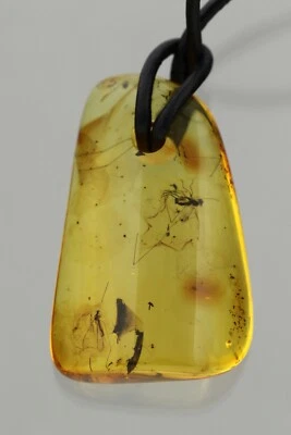 CRANE FLY & FLY 正品波罗的海琥珀可调节皮革吊坠 6.5 克 250116-18 — 第 1/4 张图片