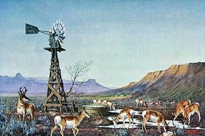 ANTELOPE IN RANCH COUNTRY - s/n By Les Kouba + Free Out at the Old Saw Rig - Picture 1 of 6