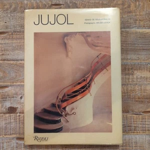 1991 Ignasi de Sola-Morales JUJOL Catalan Art Gaudí Architecture Design HC BOOK - Picture 1 of 9