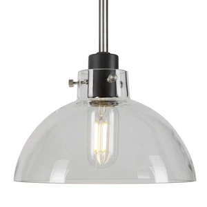 Forte Lighting 2734-01 Della 9"W Mini Pendant - Black and Brushed Nickel - Picture 1 of 3