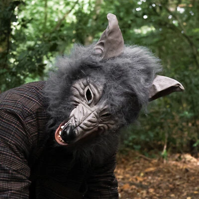 WOLF MASK HALLOWEEN FANCY DRESS COSTUME ADULTS ANIMAL LATEX WEREWOLF GREY SCARY - Image 1 of 2