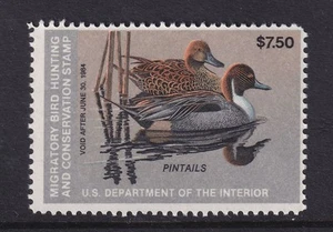 1983 Federal Duck Hunting Stamp $7.50 RW50 MNH single stamp Pintails (YP - Picture 1 of 1