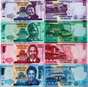MALAWI - Lotto 4 banconote 20/50/100/200  kwacha FDS - UNC - Imagen 1 de 1