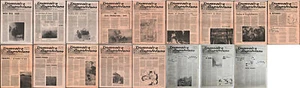 WW2-17 numeri-Rivista Domenica Napoletana Anno I 1-12+15-16-17 anno II 2-3 1945 - Imagen 1 de 12