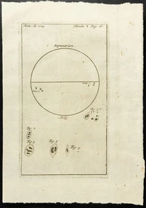 1777 - engraving Astronomy & Sun: Spots Solar (Maraldi) - Bild 1 von 3
