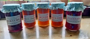 *MARMELADEN*- 5x div. hausgem. Sorten - 240ml -NEU - Kirsche/Mango/Aprikose u.a. - Bild 1 von 4