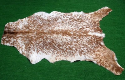 GOAT Western taxidermy Hide Rug Natural Pattern Fur Goat Hide Rode SA-1235 - Image 1 of 3