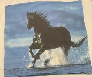Bertels Pillow Cover Germany Black Horse Blue Water Beach Cotton 29in Square - Picture 1 of 7