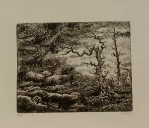 Peter Stephan /Radierung/1975 /handsigniert / 50 Exemplare/Winterlandschaft /1 - Picture 1 of 2