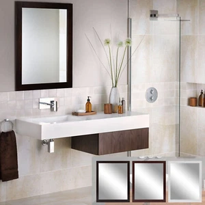 16"x12" Bathroom Rectangular Wall Mounted Mirror PS Frame Vanity Makeup Mirror - Picture 1 of 20