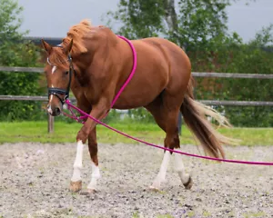 QHP Lunging Rope - Bild 1 von 27