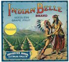 Original Grapefruit Crate Label 1916 Porterville Indian Belle Stone Lith Sunkist