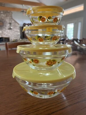 Juego de 4 cuencos de vidrio duraderos con tapas Foto 1 de 4