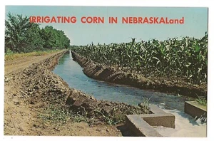 IRRIGATING CORN IN NEBRASKALand Cornfields Under River Nebraska Postcard NE - Picture 1 of 2