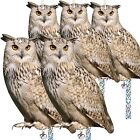 5 Pack Reflective Fake Owl To Keep Away Birds For Porch Patio Garage