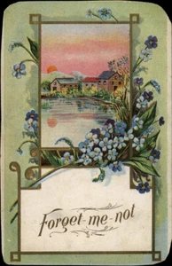 Forget-me-not Floral Postcard, Used, Early 1900s, Oregon - Picture 1 of 2