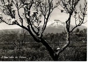 sc 075 1951 L'ETNA VISA DA CATANIA - Viaggiata - Ed. Rotalfoto Milano für Vitro - Bild 1 von 1